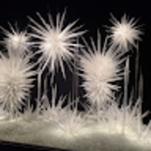 Meet your Posher, Jacquelyn